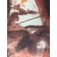 Litografická súprava Salvador Dali certifikovaná 50x65 cm