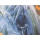 Salvador Dali Off set lithograph cm 50x65 certified