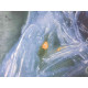 Salvador Dali Off set lithograph cm 50x65 certified