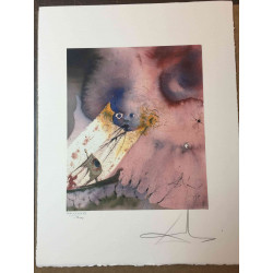 Salvador Dalí Litografía off set 50x65 cm certificado