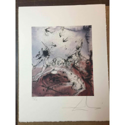Setul de litografie Salvador Dali 50x65 cm certificat