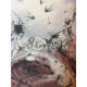 Setul de litografie Salvador Dali 50x65 cm certificat