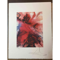 Salvador Dali Lithografie off set 50x65 cm gecertificeerd