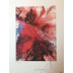 Salvador Dali Lithografie off set 50x65 cm gecertificeerd
