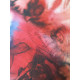 Salvador Dali Lithografie off set 50x65 cm gecertificeerd