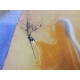 Salvador Dali Off set lithograph cm 50x65 certified