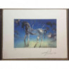Litografická súprava Salvador Dali certifikovaná 50x65 cm
