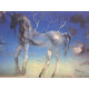 Salvador Dali Litografia off set cm 50x65   certificata