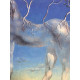 Salvador Dali Litografia off set cm 50x65   certificata