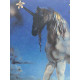 Salvador Dali Litografia off set cm 50x65   certificata