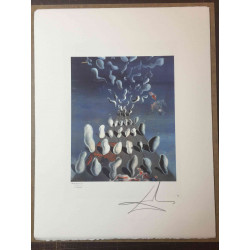 Litografická sada Salvador Dali s certifikací 50x65 cm