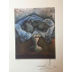 Litografia Salvador Dali off set 50x65 cm certificada