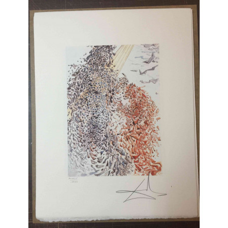 Salvador Dali Lithographie hors set 50x65 cm certifiée