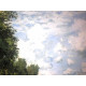 Claude Monet lithograph off set 50x70 cm