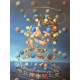 Salvador Dali Lithografie off set 50x65 cm gecertificeerd