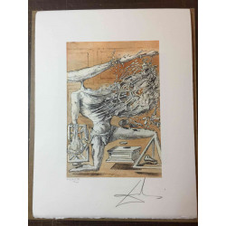 Salvador Dali Lithographie hors set 50x65 cm certifiée