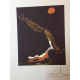 Salvador Dali Lithographie Offset 50x65 cm zertifiziert