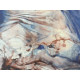Salvador Dali Lithographie hors set 50x65 cm certifiée