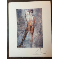 Litografická sada Salvador Dali s certifikací 50x65 cm