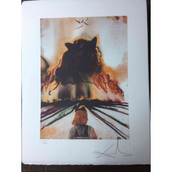 Salvador Dali Lithographie hors set 50x65 cm certifiée