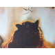 Salvador Dali Lithographie hors set 50x65 cm certifiée