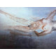 Conjunt de litografia de Salvador Dalí 50x65 cm certificat