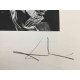 Salvador Dali Off set lithograph cm 50x65 certified