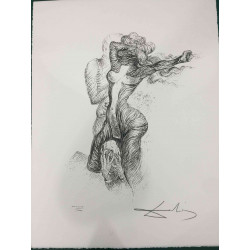 Litografia Salvador Dali off set 50x65 cm certificada
