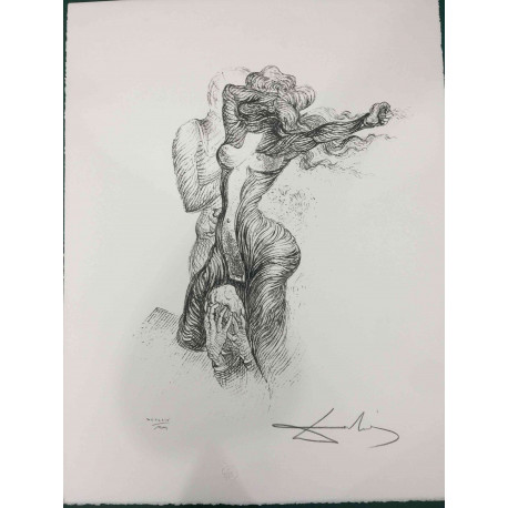 Litografia Salvador Dali off set 50x65 cm certificada