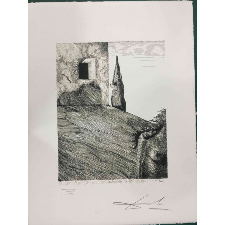 Litografická súprava Salvador Dali certifikovaná 50x65 cm