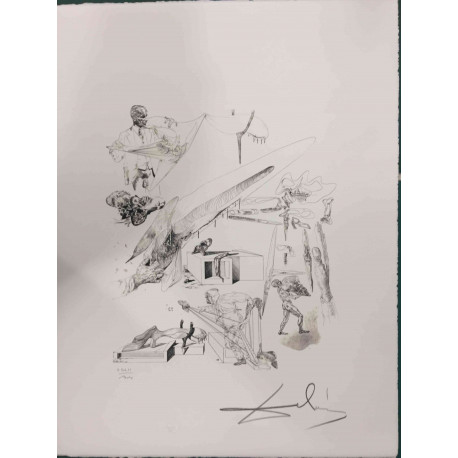 Salvador Dali 50x65 cm-ko litografia-sorta ziurtatua