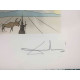 Litografía Salvador Dali off set 50x65 cm certificada