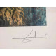 Salvador Dali Off set lithograph cm 50x65 certified