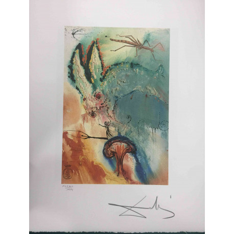 Salvador Dali Off set lithograph cm 50x65 certified