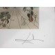 Salvador Dali Lithographie hors set 50x65 cm certifiée