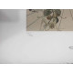 Salvador Dali Lithographie hors set 50x65 cm certifiée