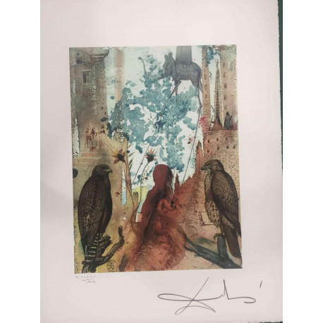 Salvador Dali Litografia off set cm 50x65   certificata