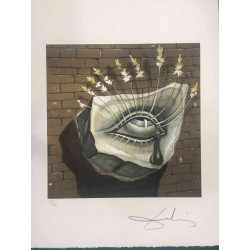 Salvador Dali Off set lithograph cm 50x65 certified