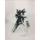 Salvador Dali Lithographie hors set 50x65 cm certifiée