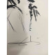 Salvador Dali Lithographie hors set 50x65 cm certifiée