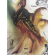 Salvador Dali Lithographie Offset 50x65 cm zertifiziert