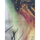 Salvador Dali Lithographie Offset 50x65 cm zertifiziert