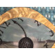 Salvador Dali Litografia off set cm 50x65   certificata