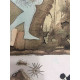 Salvador Dali Lithographie Offset 50x65 cm zertifiziert