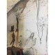 Litografía Salvador Dali off set 50x65 cm certificada