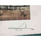 Setul de litografie Salvador Dali 50x65 cm certificat