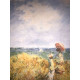 Claude Monet lithograph off set 50x70 cm