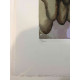 Salvador Dali Lithographie hors set 50x70 cm certifiée