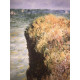 Claude Monet lithograph off set 50x70 cm