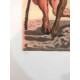 Salvador Dali Off set lithograph cm 50x70 certified